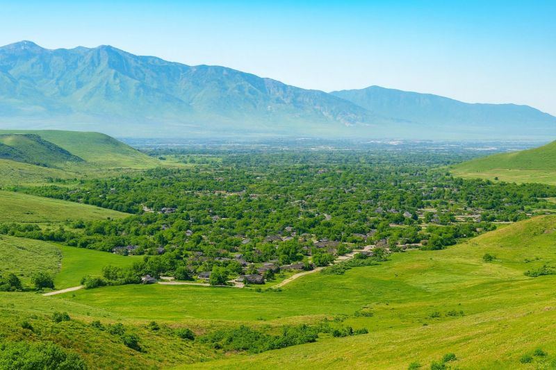 Hero for Home Services Options